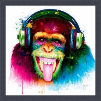 Dj monkey