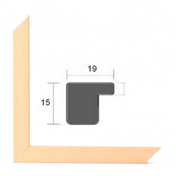 BASIC 20 SAUMON MIROIR